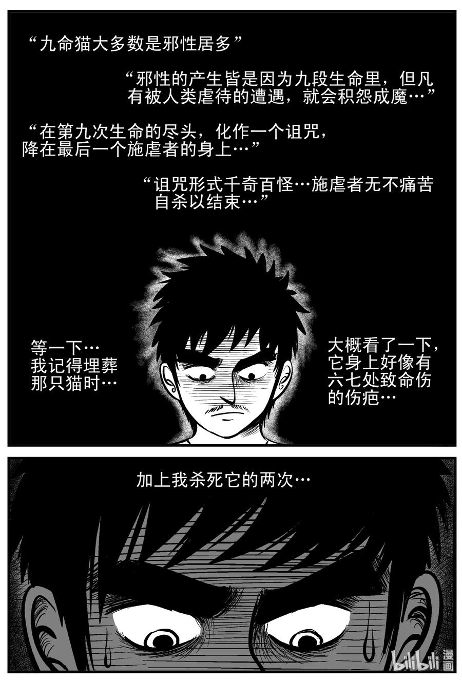 163 猫22