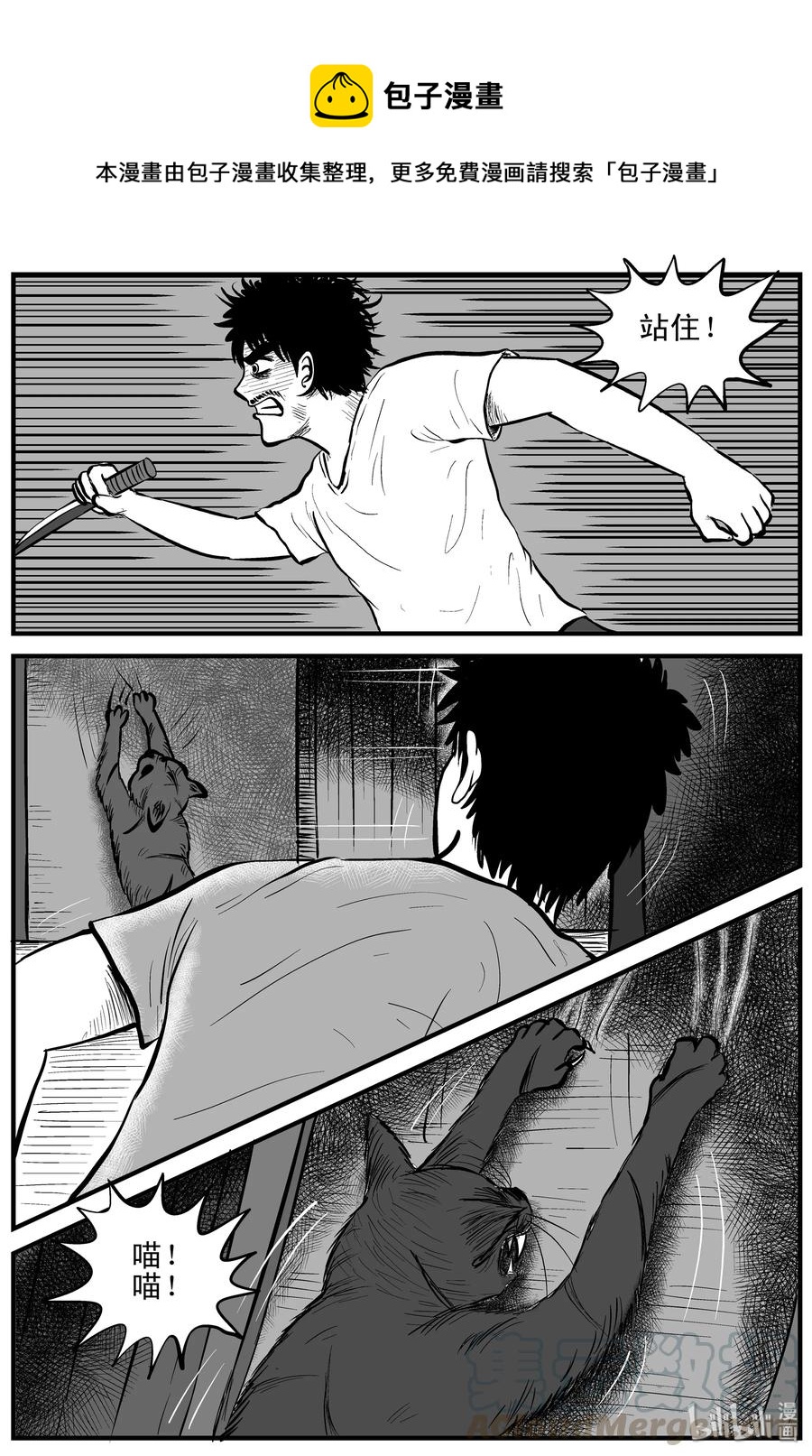 163 猫18