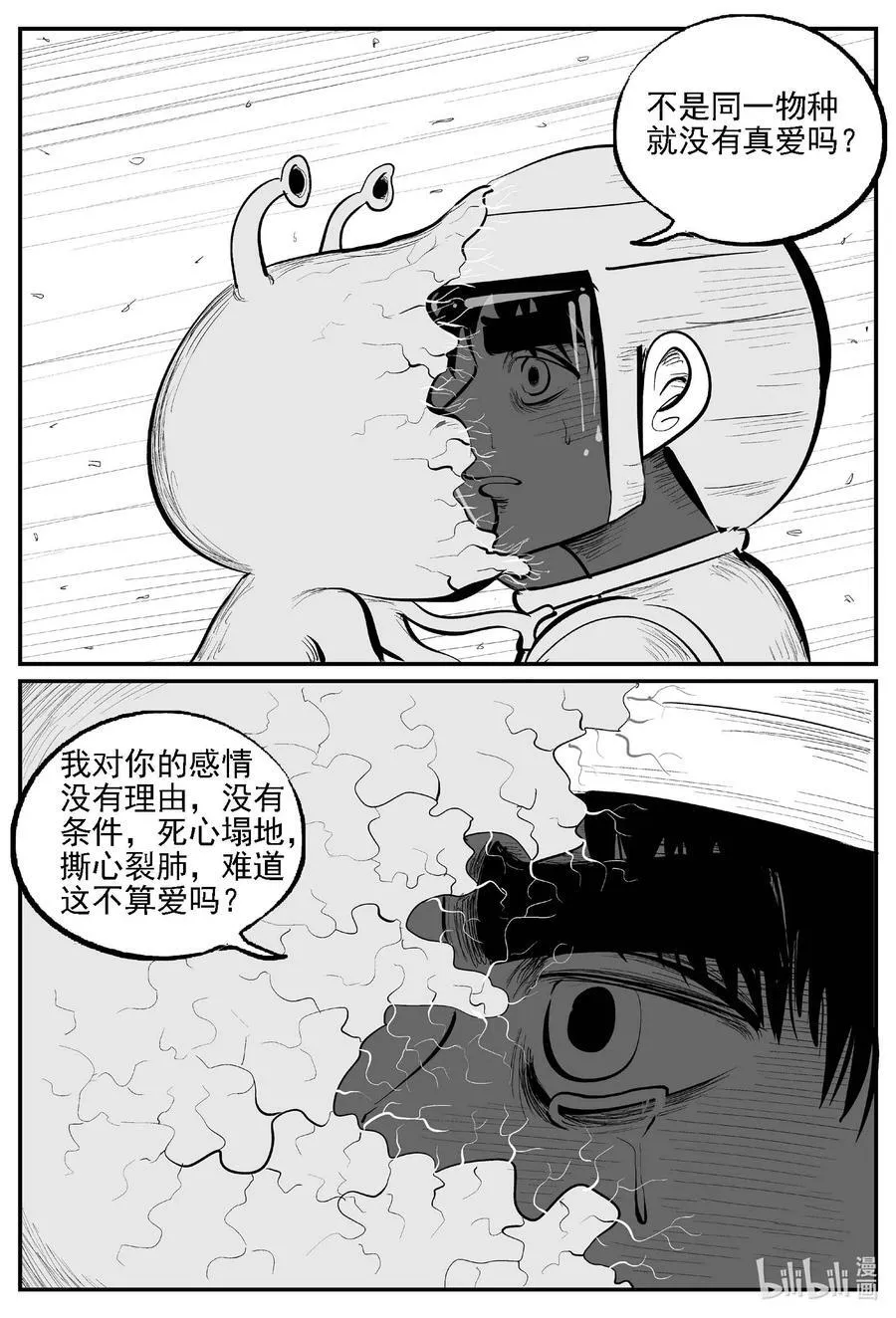 981 爱之星13