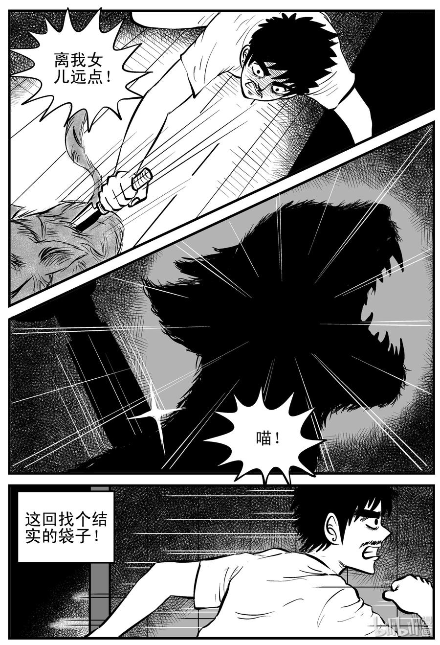 163 猫19