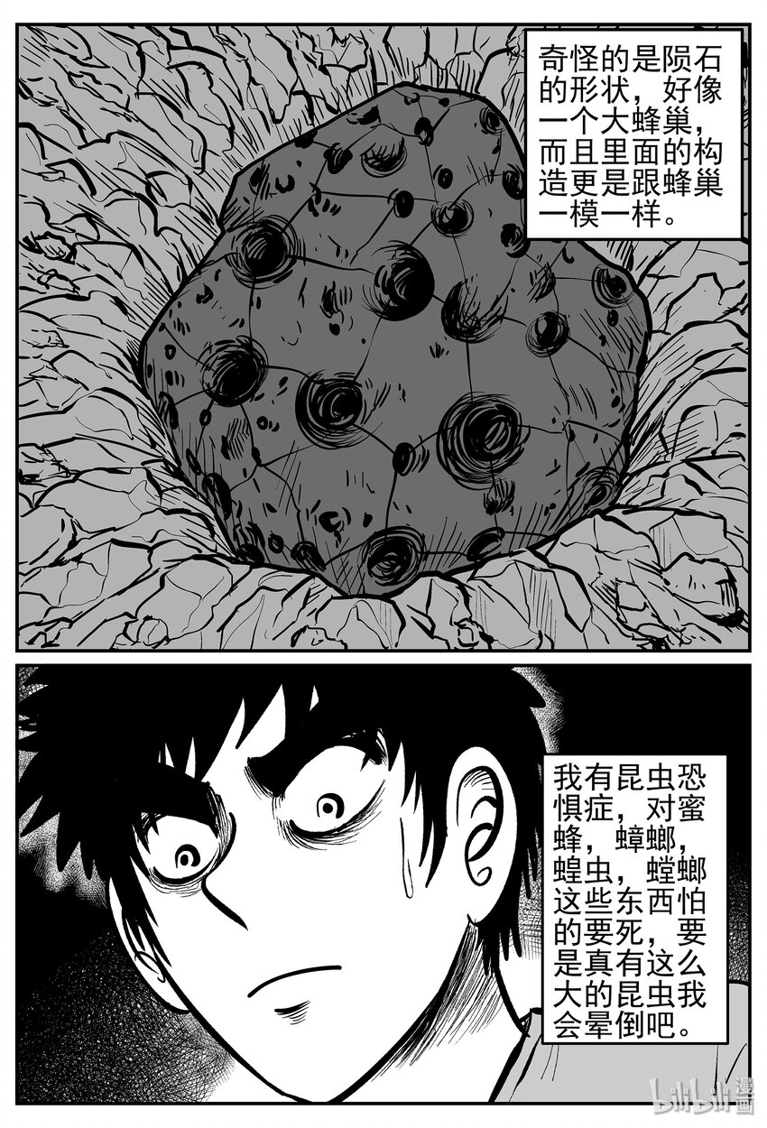 040 它：蜂群（1）7