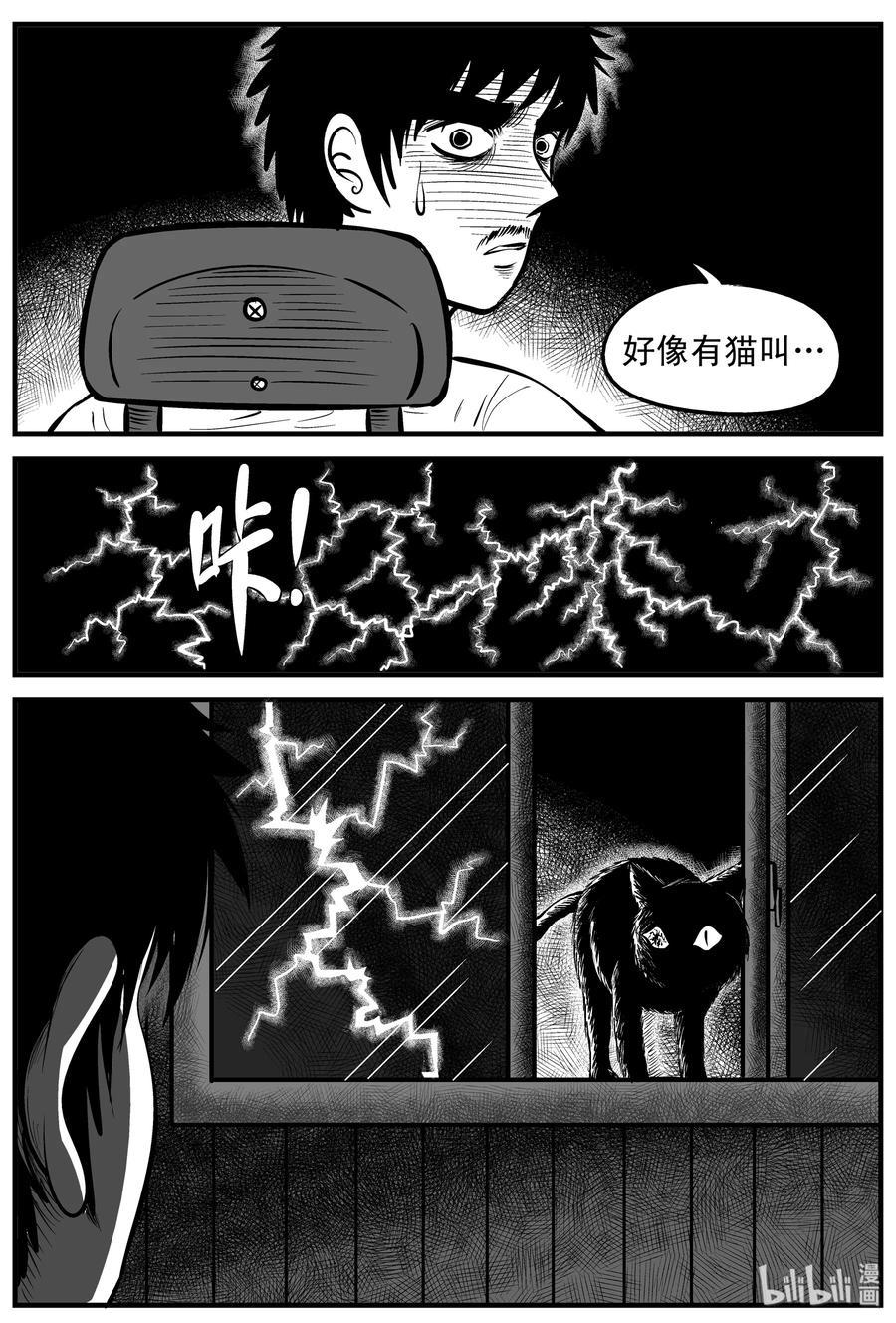 163 猫16