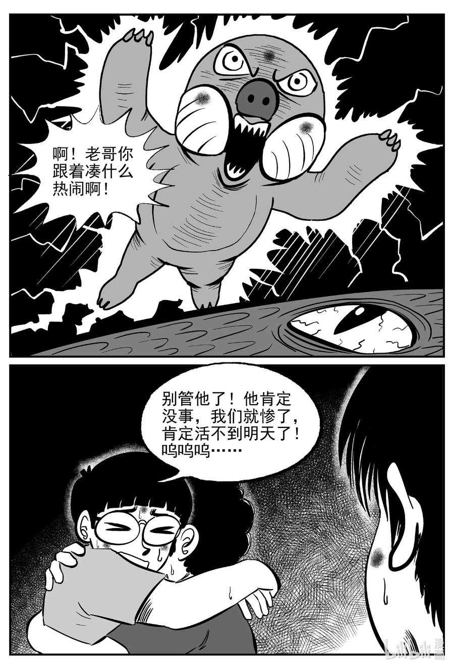 497 它78