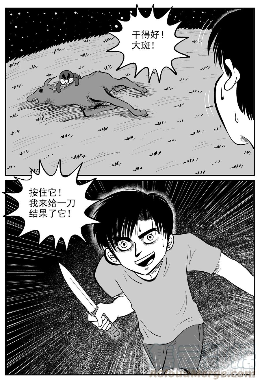 594 它1.516