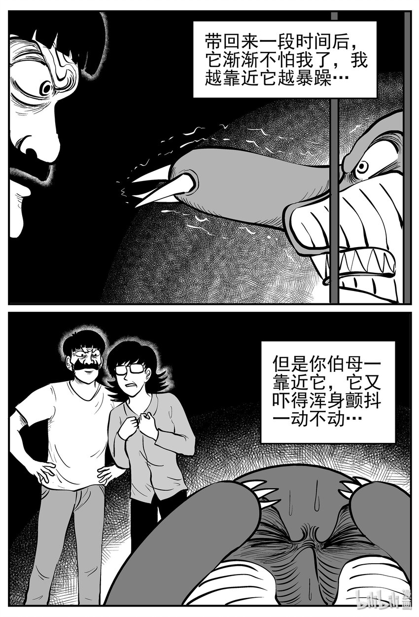 013-1 它3（5）17