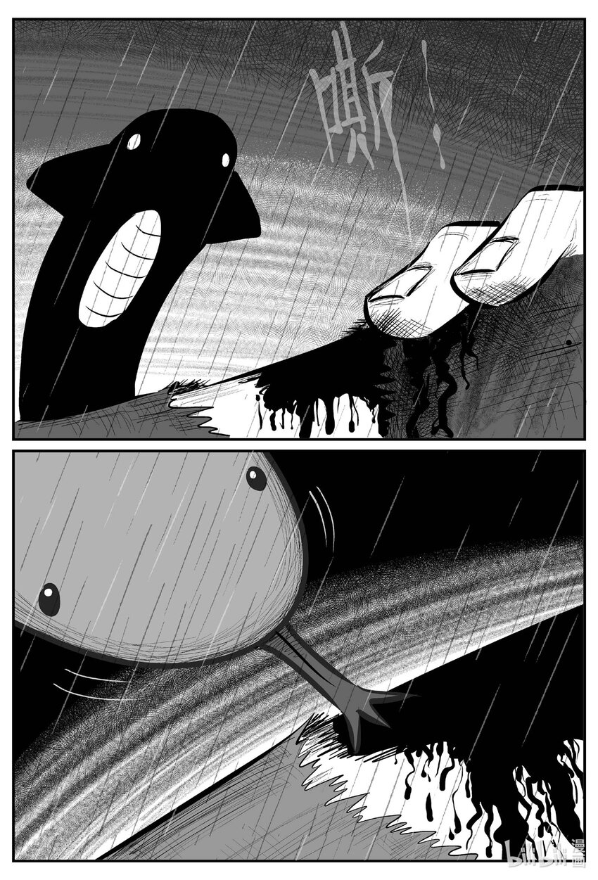 709 它817
