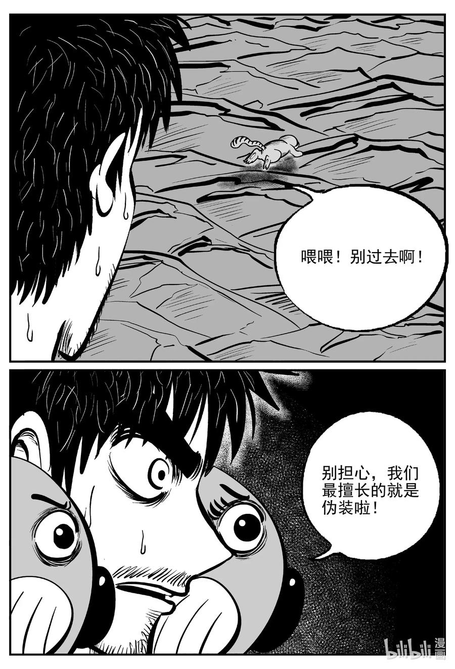 494 它77