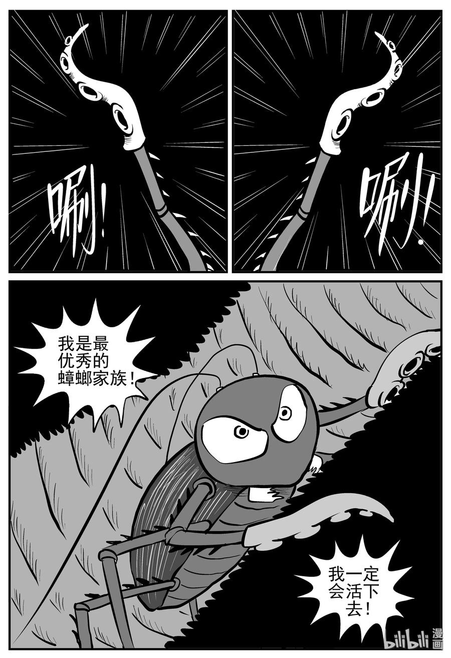 147 蟑螂记（2）8