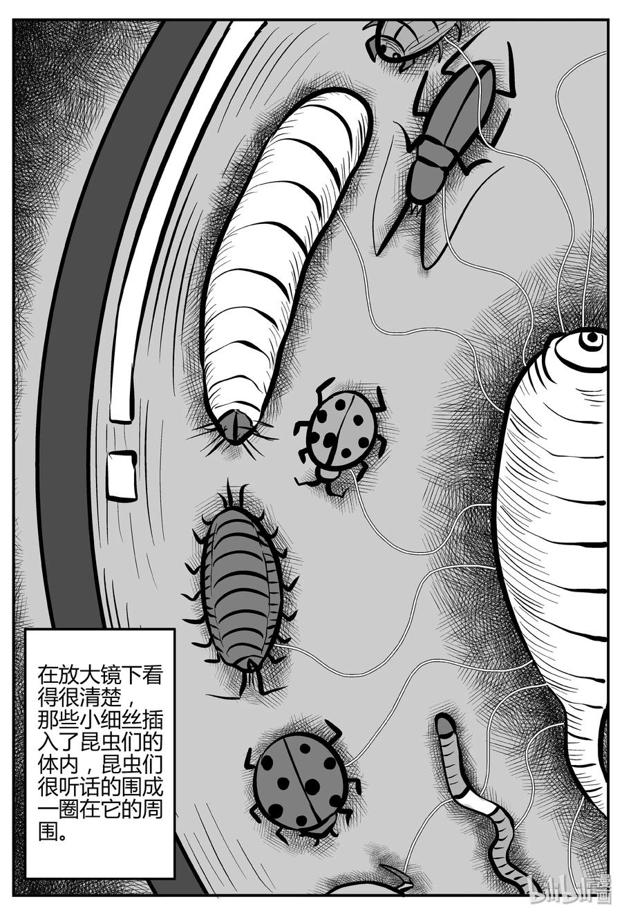 307 寄生虫（5）13