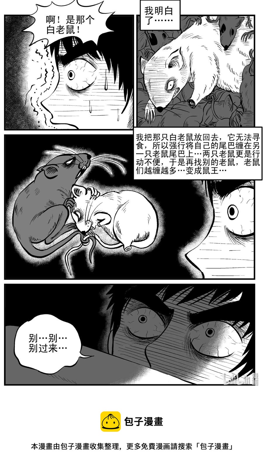 117 网+鼠王29