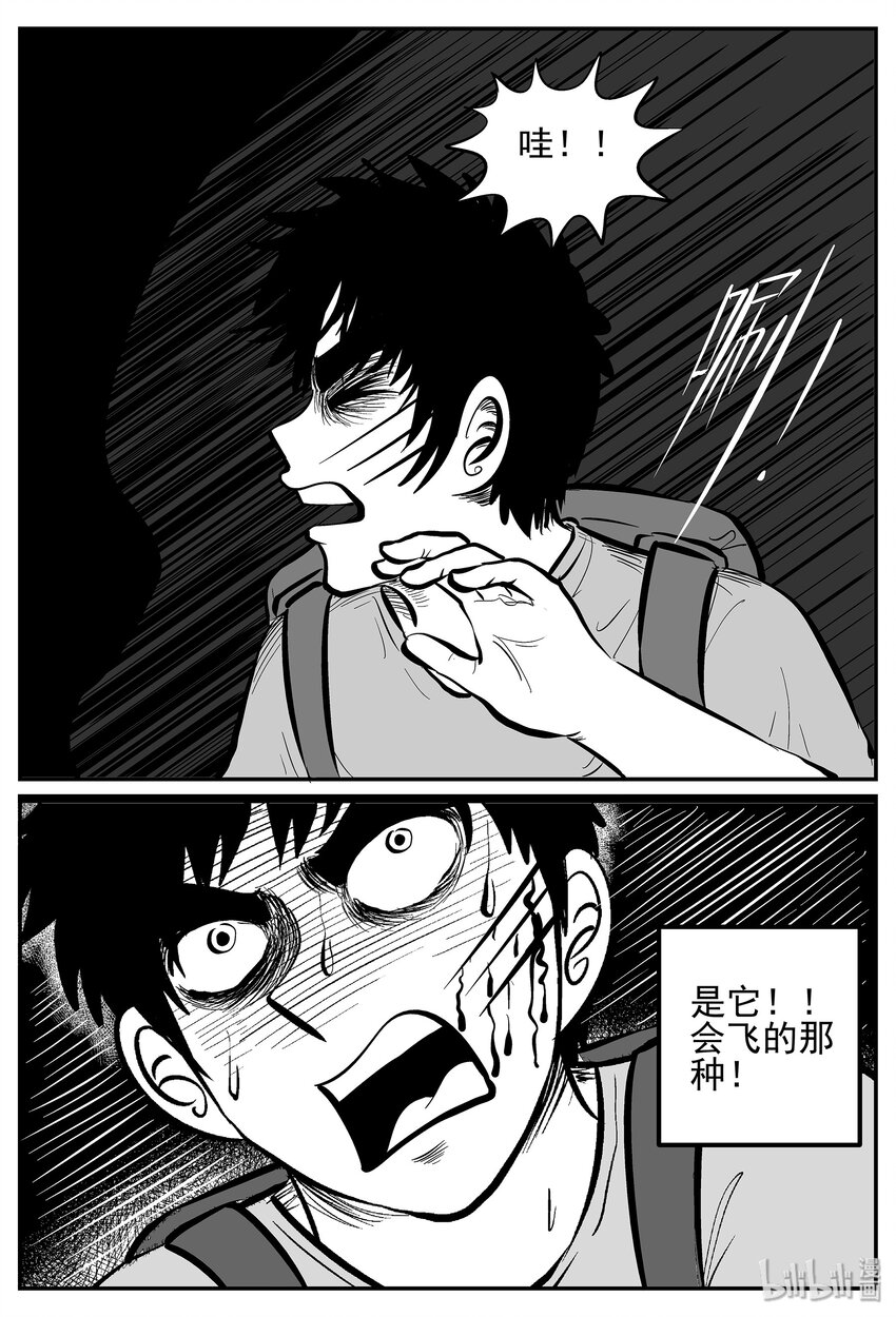 026 它4（10）11
