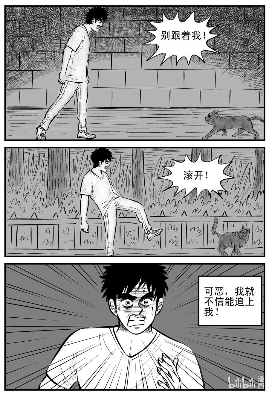 163 猫5