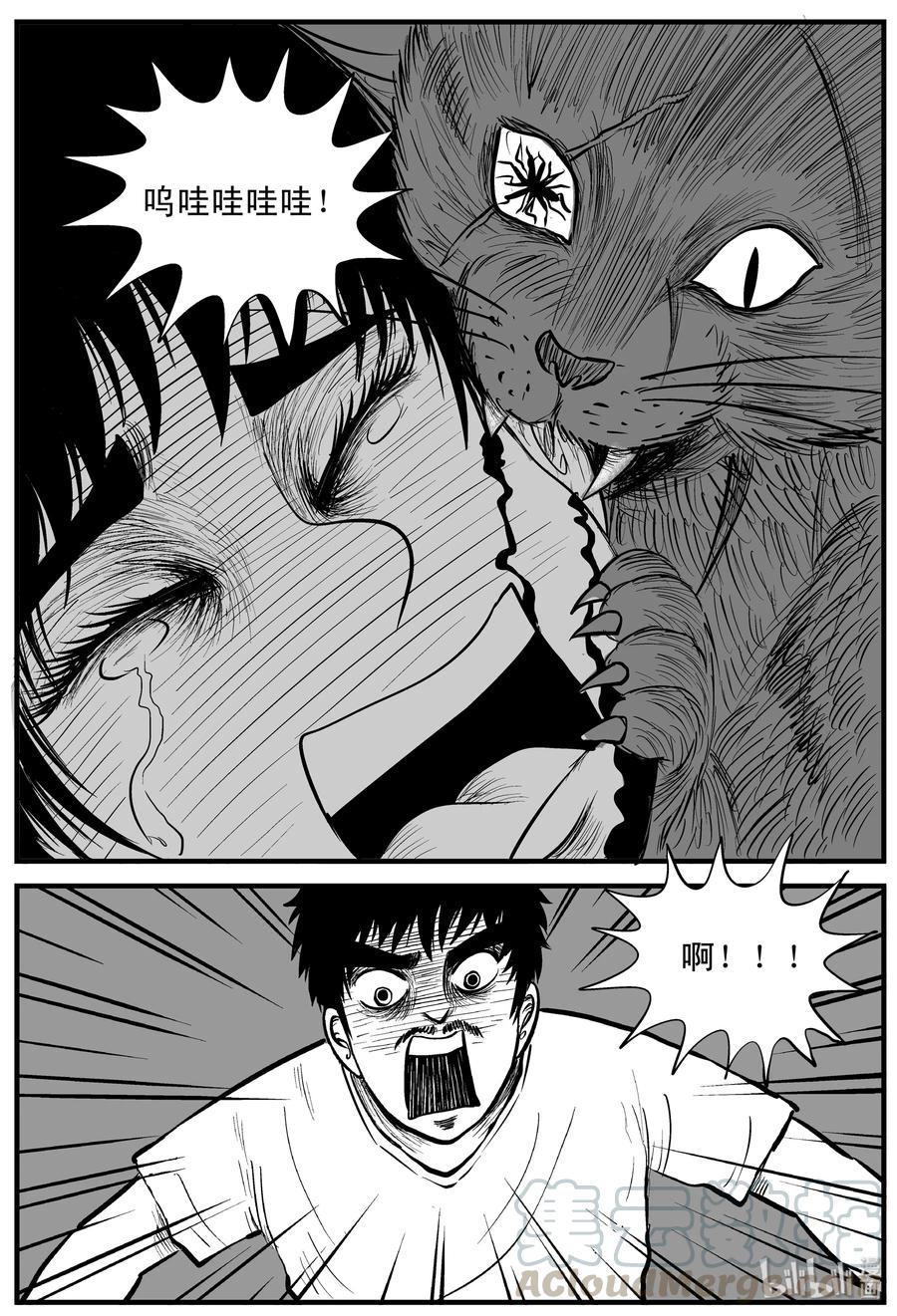 163 猫12