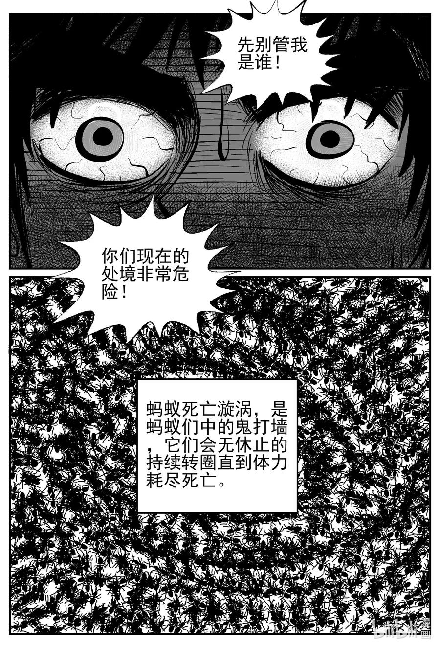 494 它717