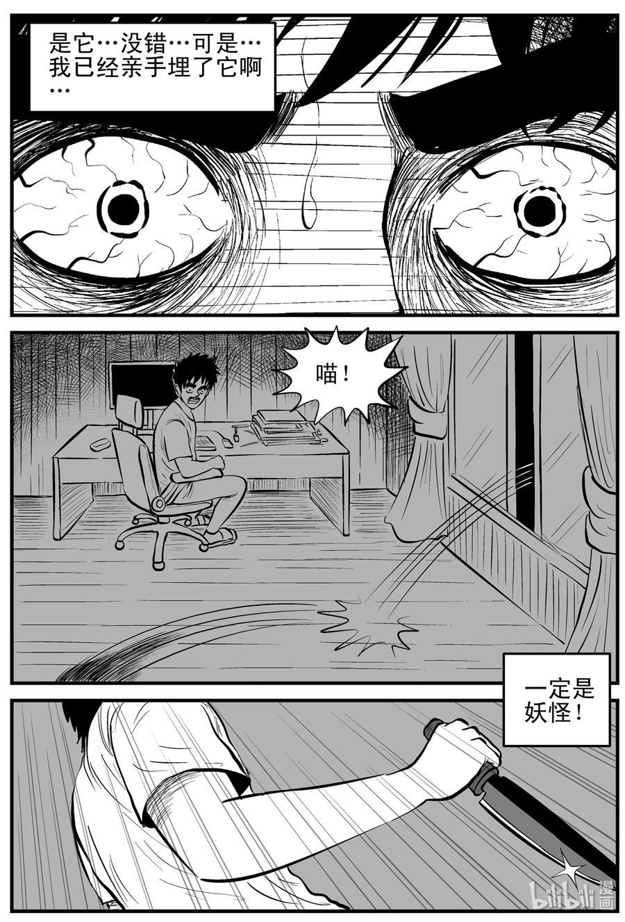 163 猫17
