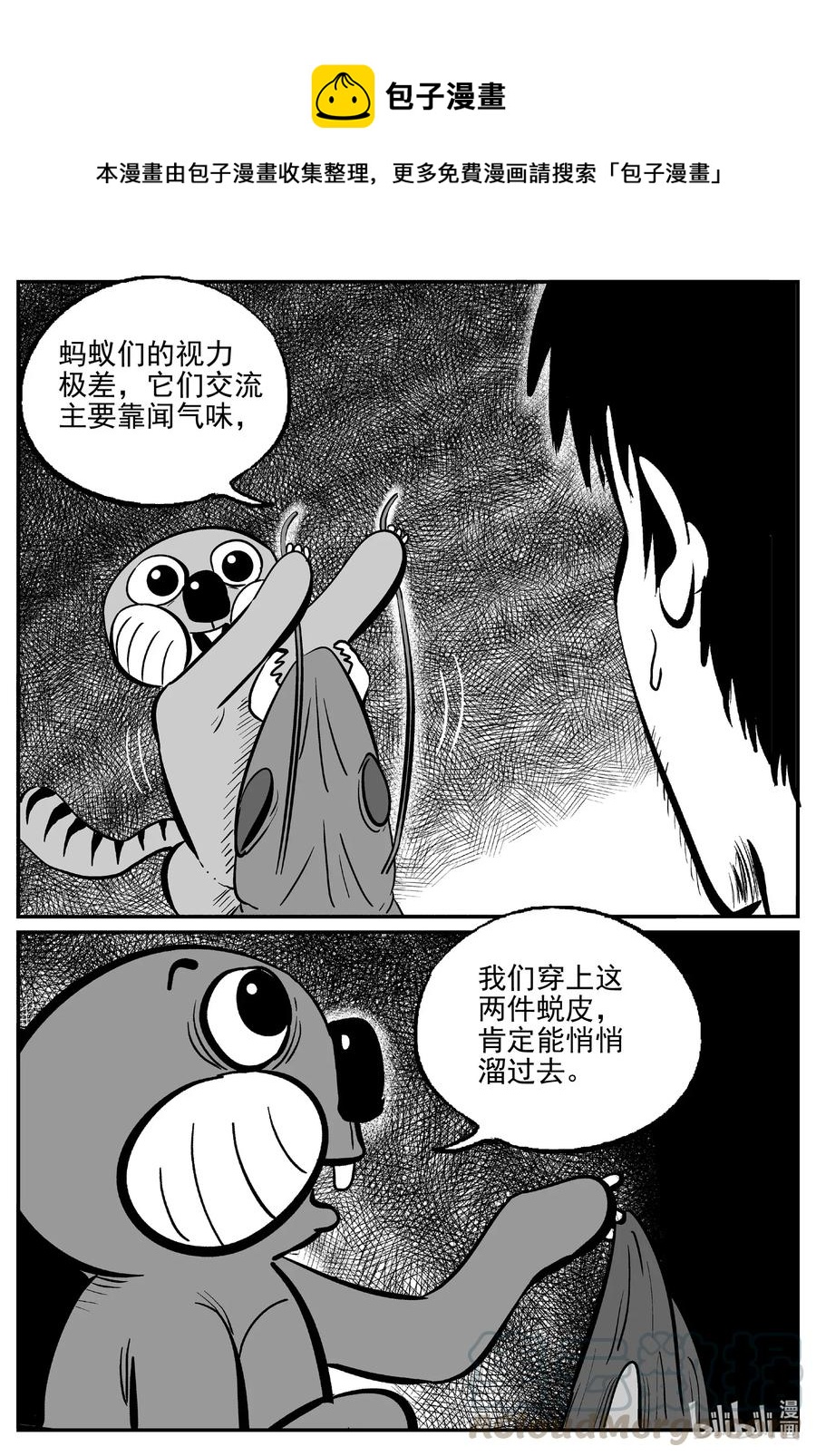 494 它79