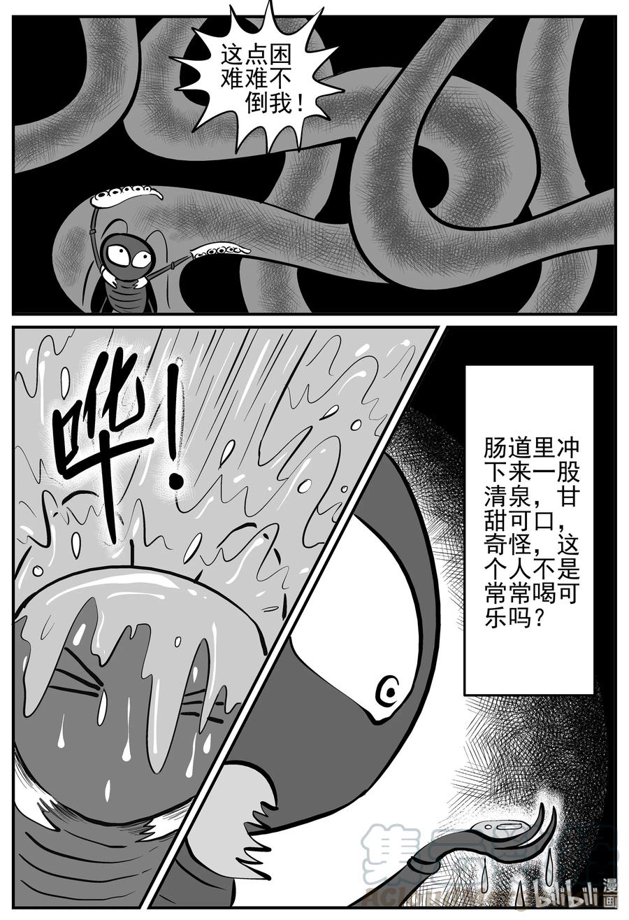 147 蟑螂记（2）9