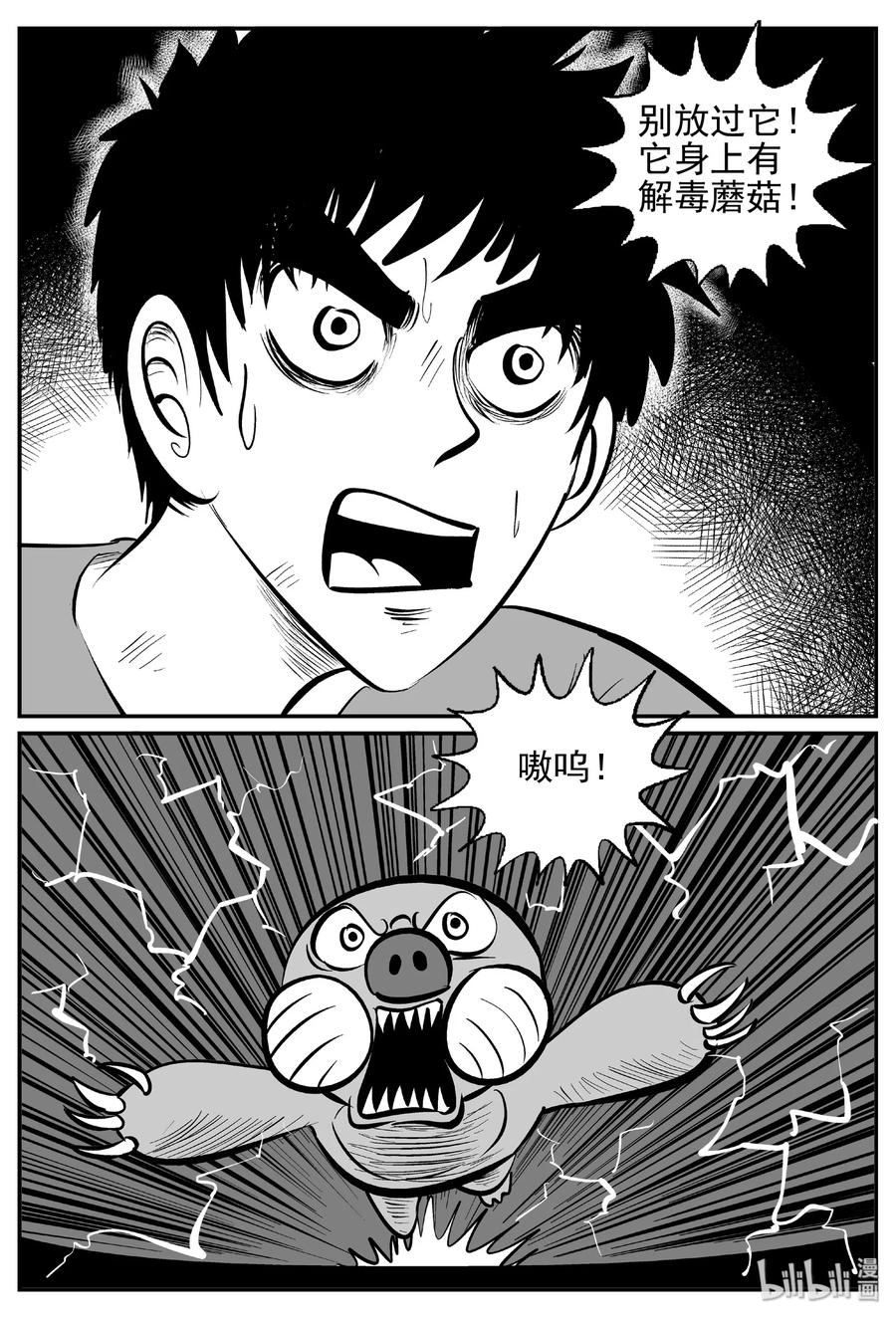 426 它5.5（8）25