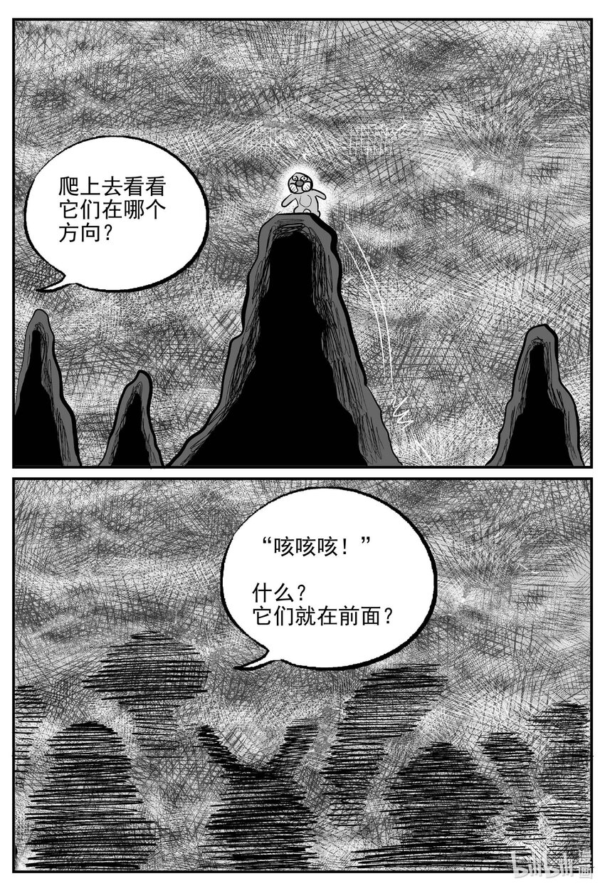 741 它810