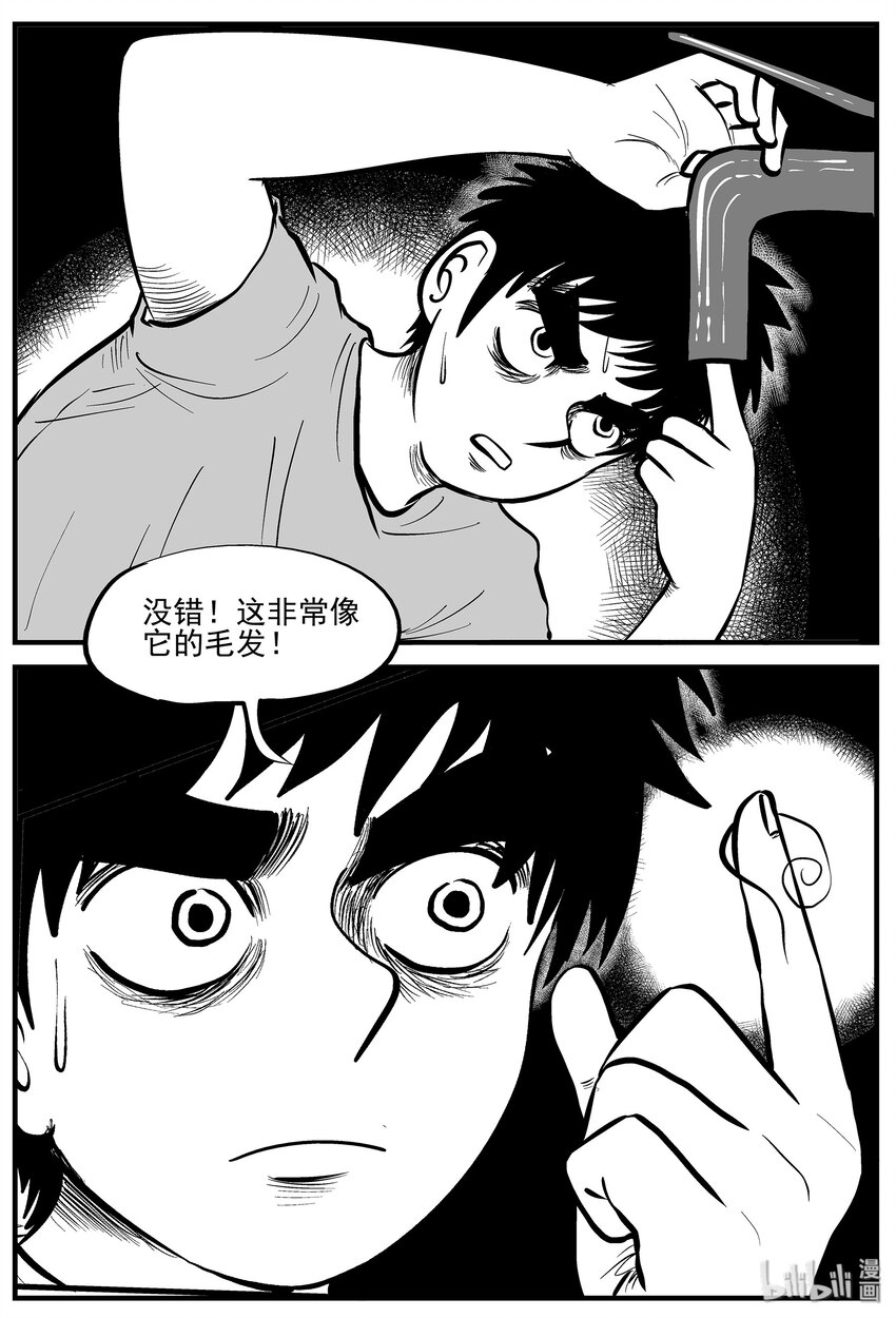 006 它2（2）13