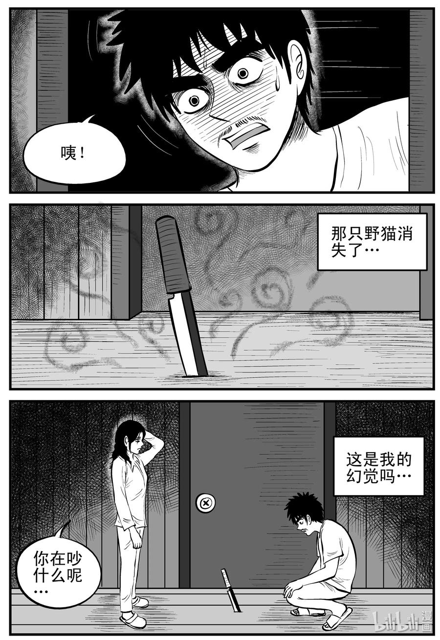 163 猫20
