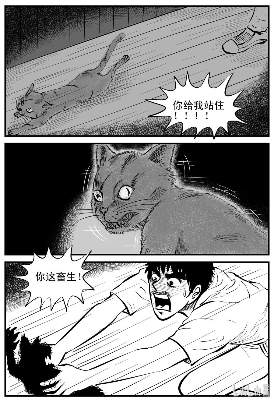 163 猫13