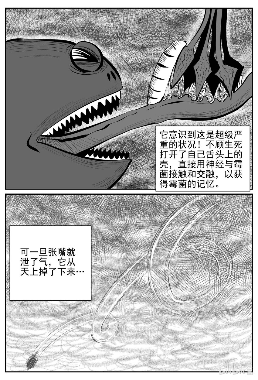 747 它85