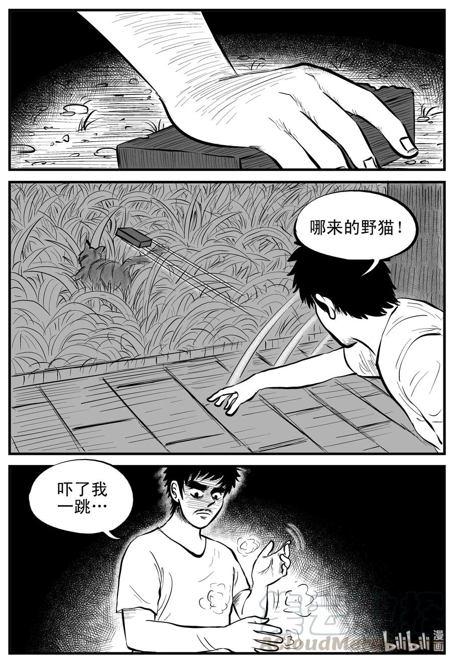 163 猫3