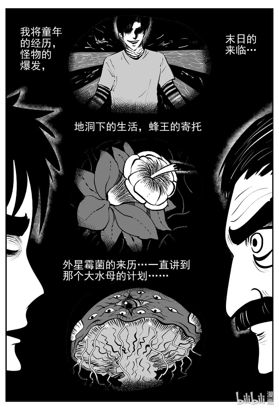 381 它：6（13）23