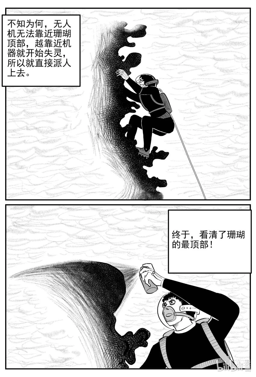 818 珊瑚那边的哥哥6