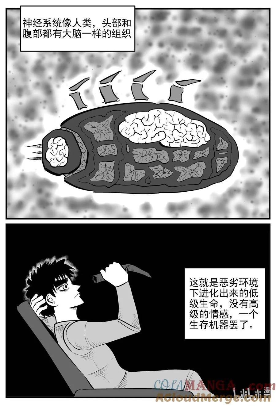 978 爱之星8