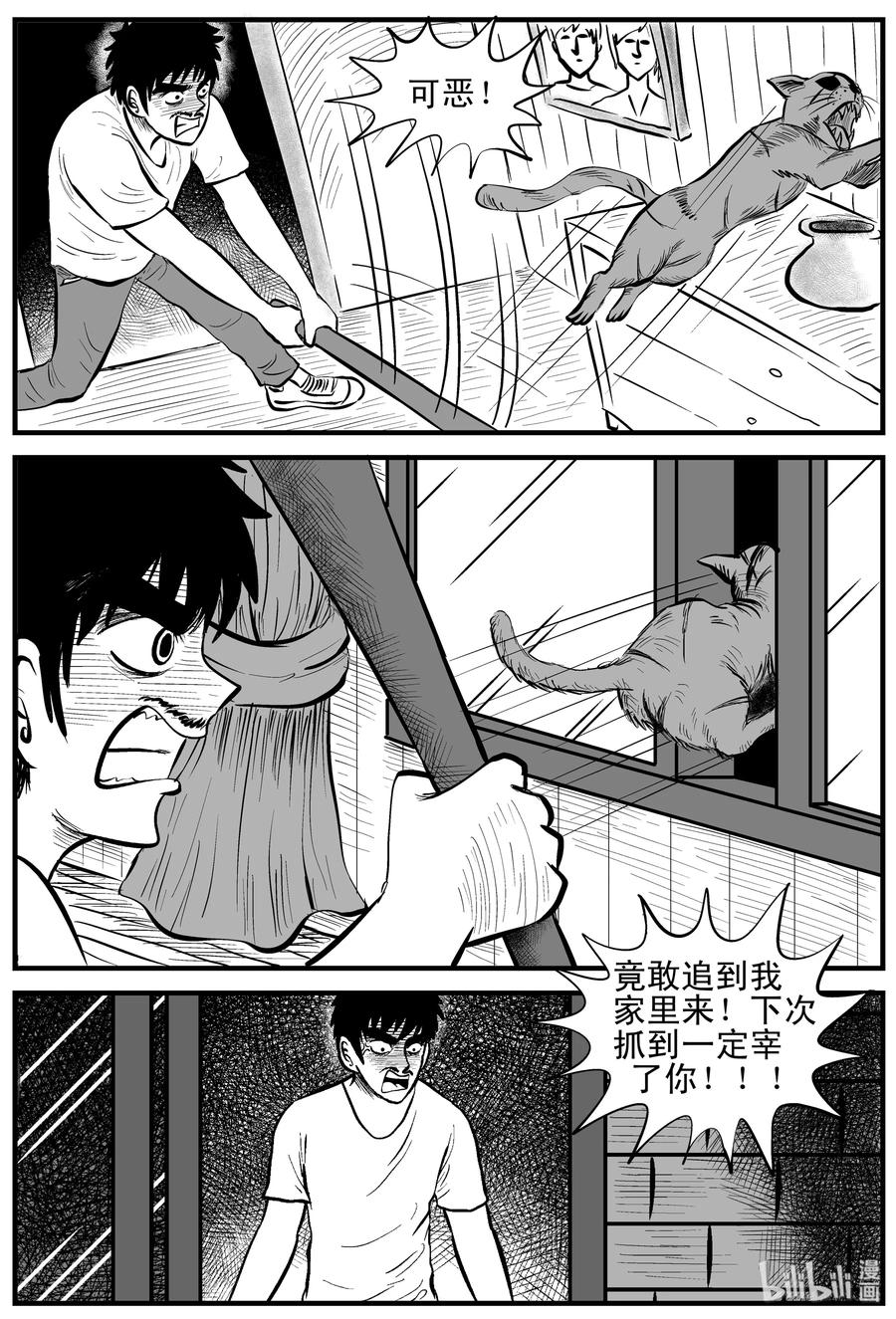 163 猫10