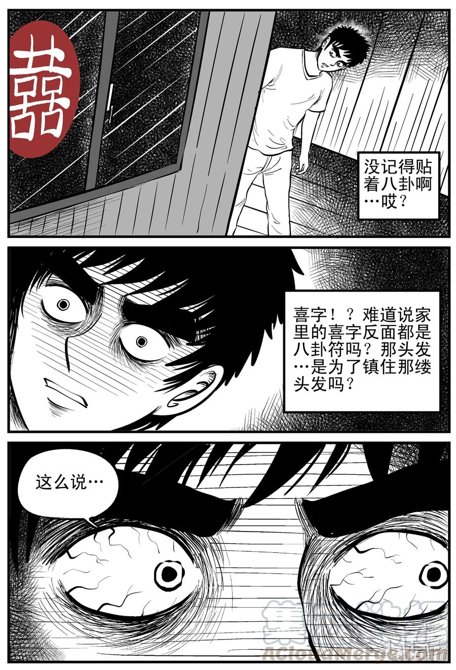 118 鹦鹉+囍18