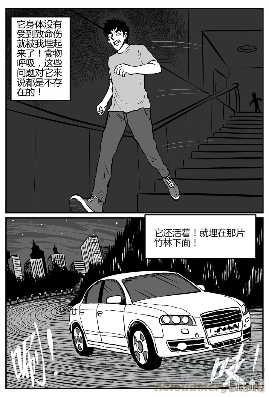 296 地知（4）9
