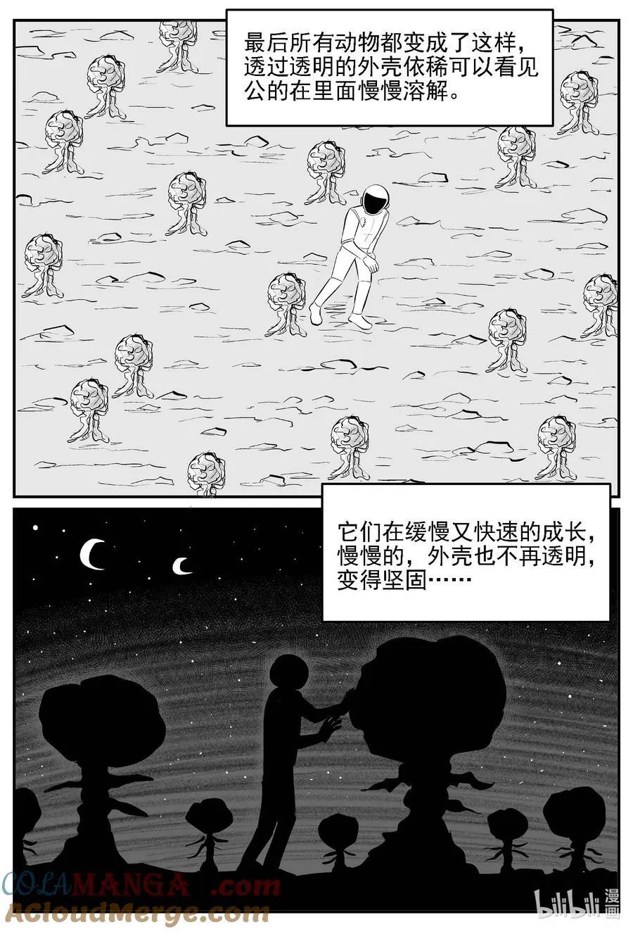 981 爱之星2