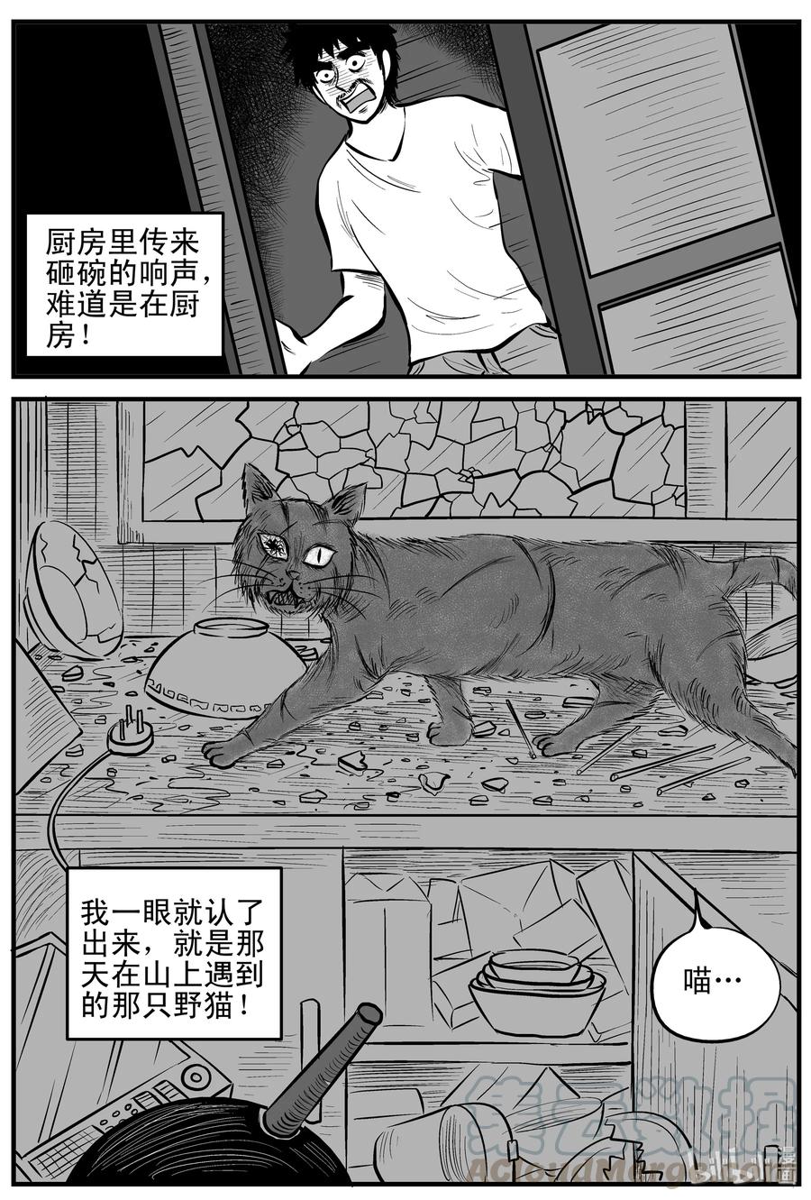 163 猫9