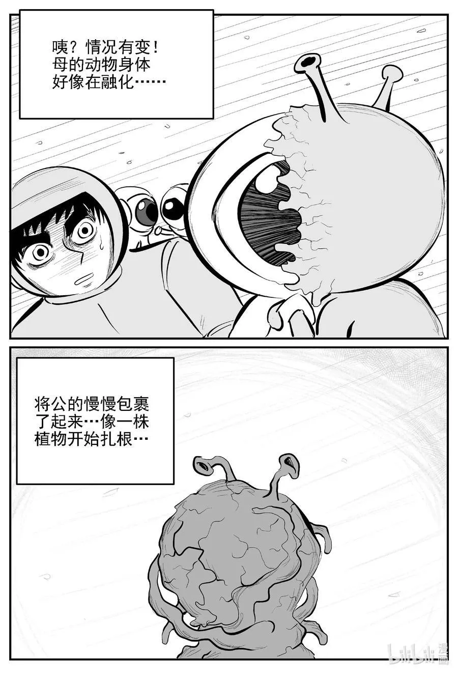 980 爱之星14