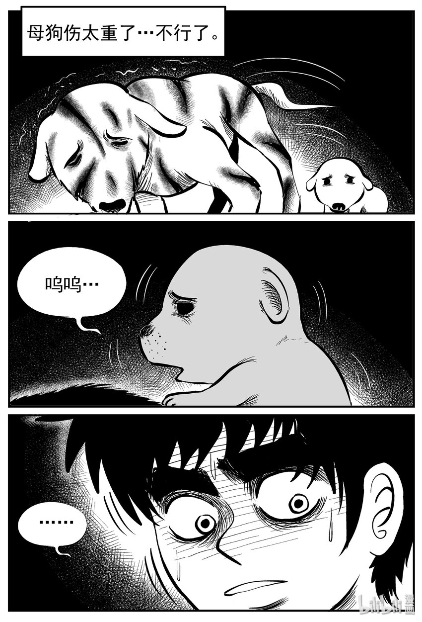 010 它3（2）20