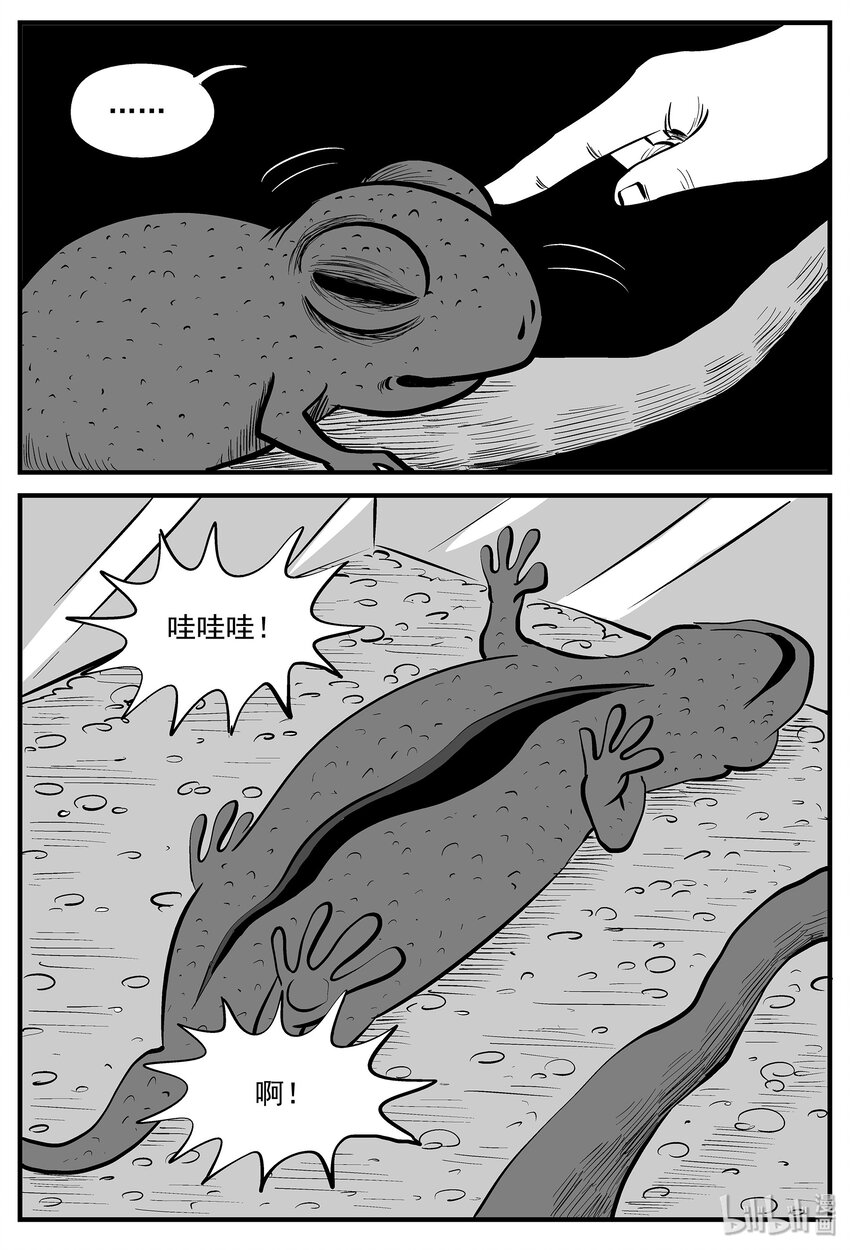 005 它2（1）16