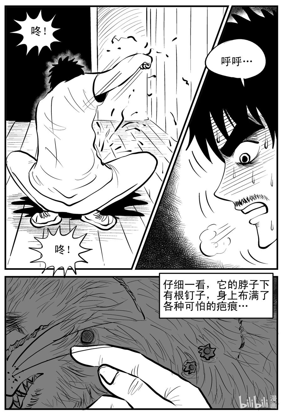 163 猫14