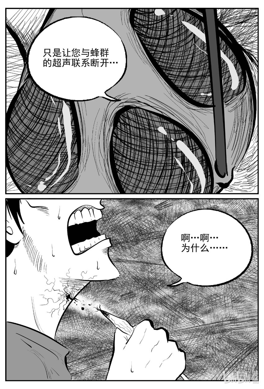 745 它815