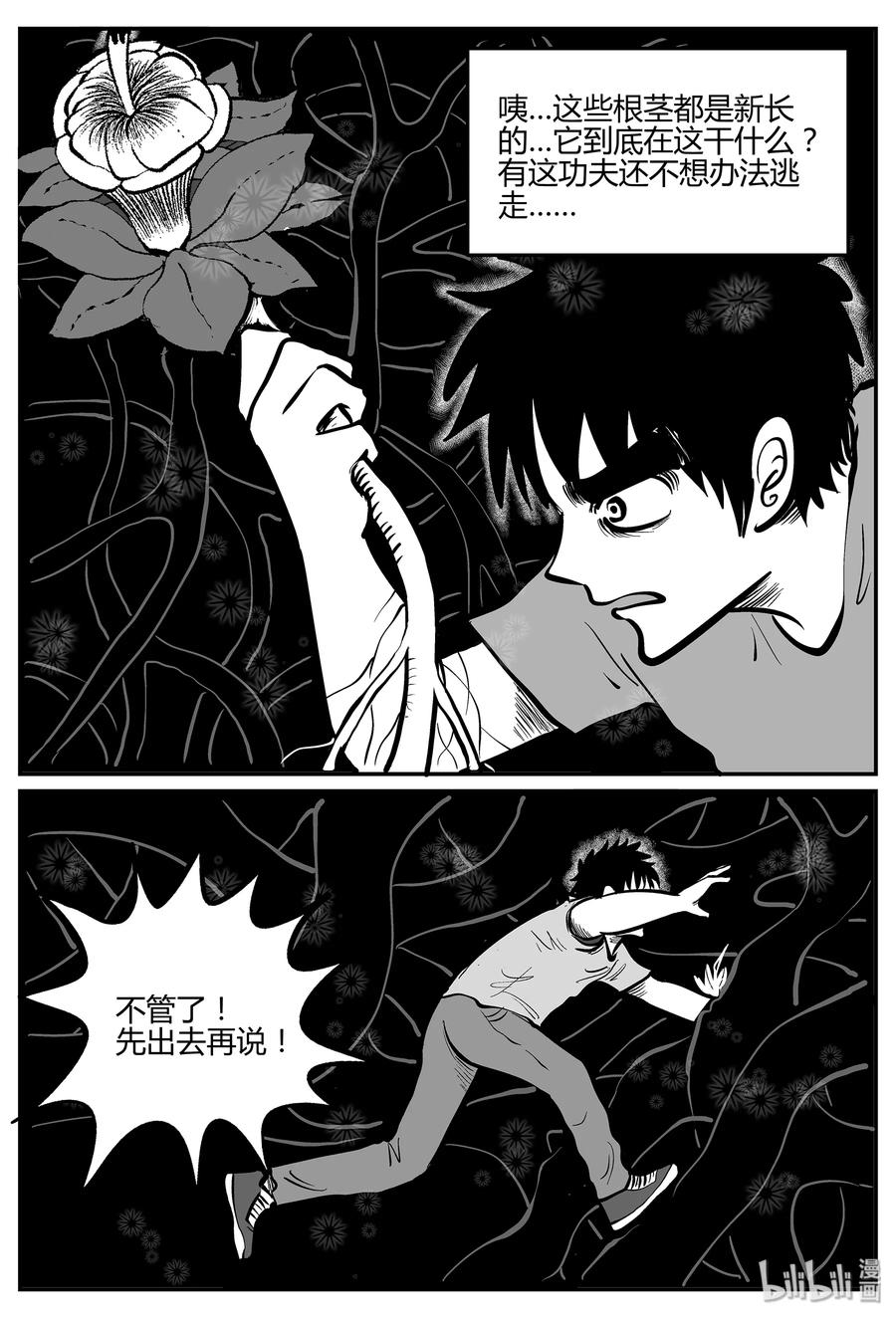 055 它5（12）20