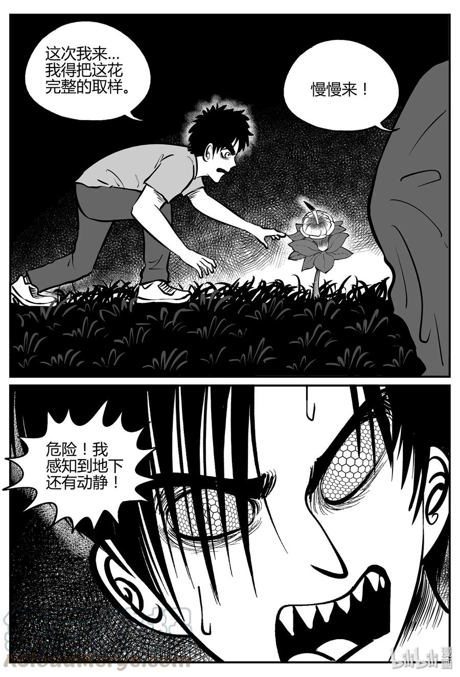 054 它5（11）21