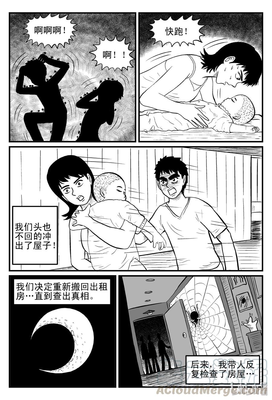 095 蜘蛛（2）6