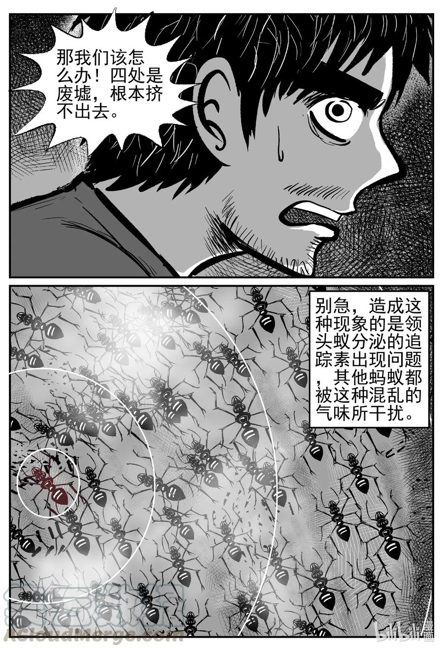 494 它718
