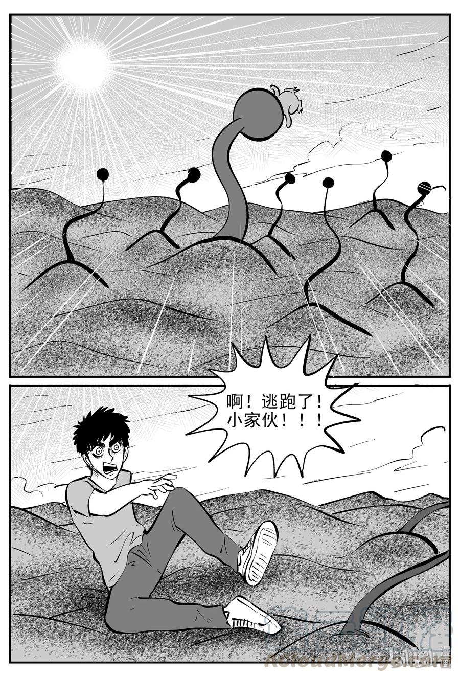 374 它：6（6）21