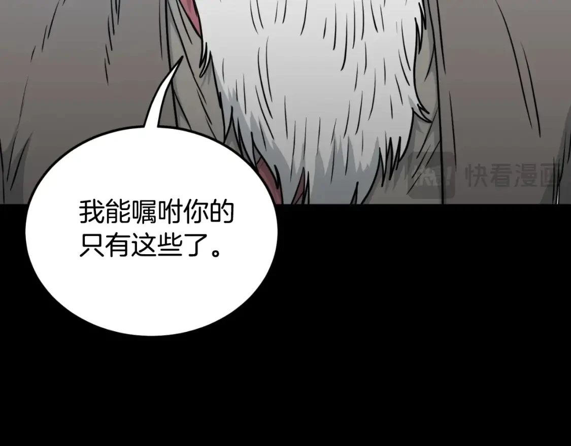 第174话 提前的决赛29
