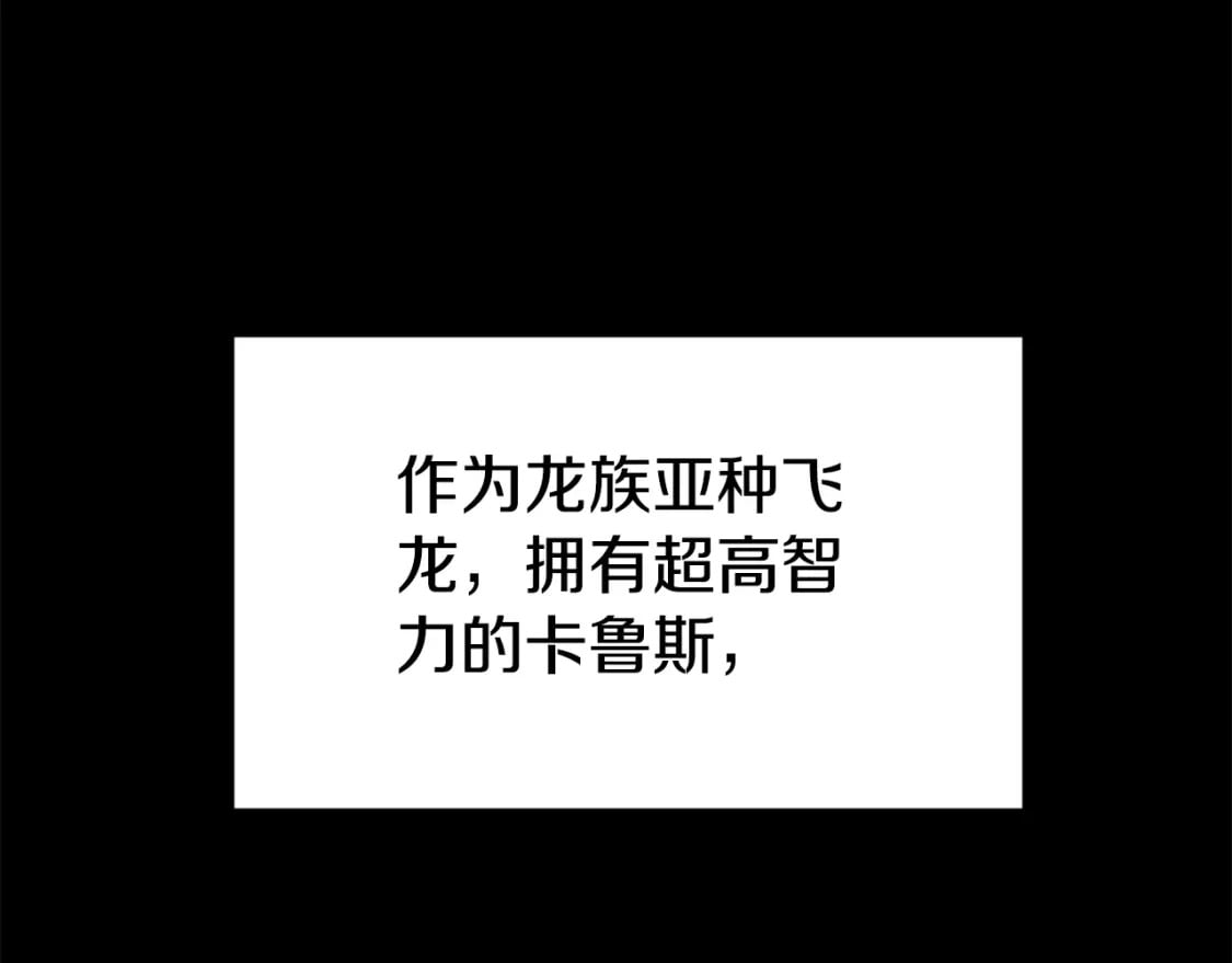 第145话 会魔法的龙41