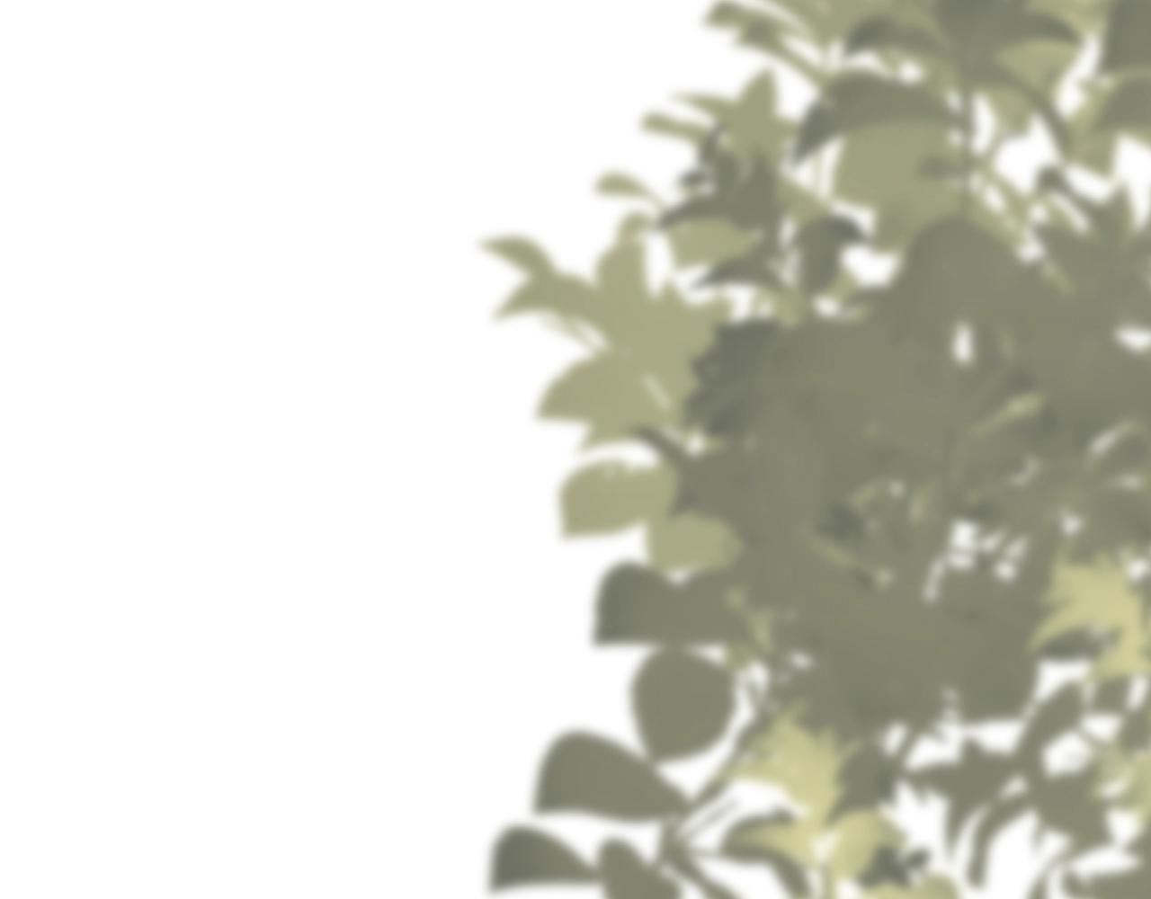第104话 不小心考太高了21