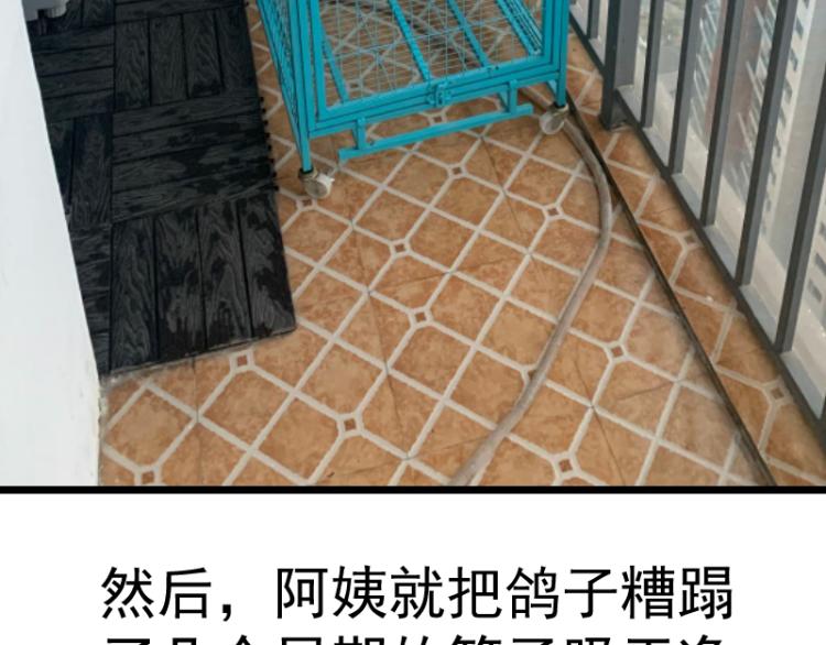 第148话 桃符山旧事（二）145